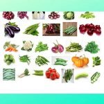 Organic Vegetable seeds for gardening, 20 VARIETIES, Vegetable seeds for terrace gardening, Seeds for vegetables, vegetable seeds for home garden