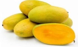 Dasheri Mango Grafted Plant -  Live Plant - Image 2