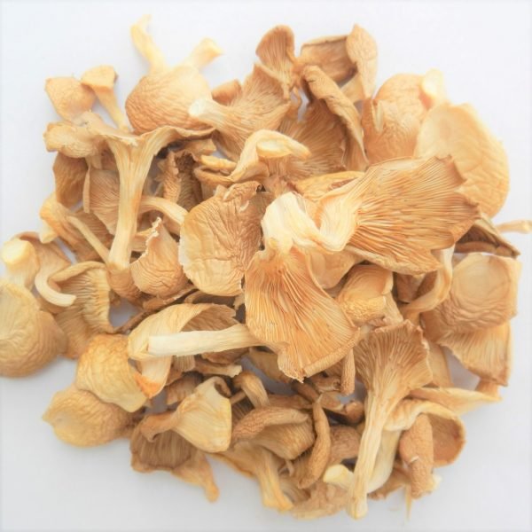 Shrigram organics -Dried Oyster Mushrooms