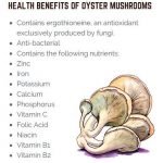 Shrigram organics -Dried Oyster Mushrooms - Image 3