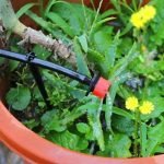 Drip Irrigation Garden Watering Kit (100 Plants Drip Kit) - Image 3