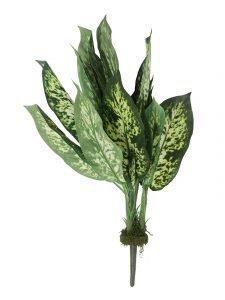 Polyester and Plastic Decorative Artificial Dieffenbachia Bush (15 cm x 15 cm x 52 cm, Dark Green) - Image 4