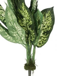 Polyester and Plastic Decorative Artificial Dieffenbachia Bush (15 cm x 15 cm x 52 cm, Dark Green) - Image 5