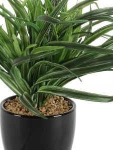 Artificial Dracaena Bonsai 27 cmTall  in a Glazed Ceramic vase(Green and White) - Image 4