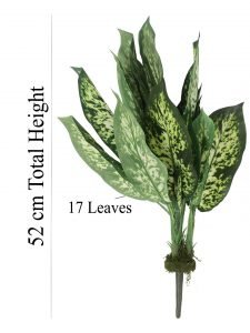Polyester and Plastic Decorative Artificial Dieffenbachia Bush (15 cm x 15 cm x 52 cm, Dark Green) - Image 3